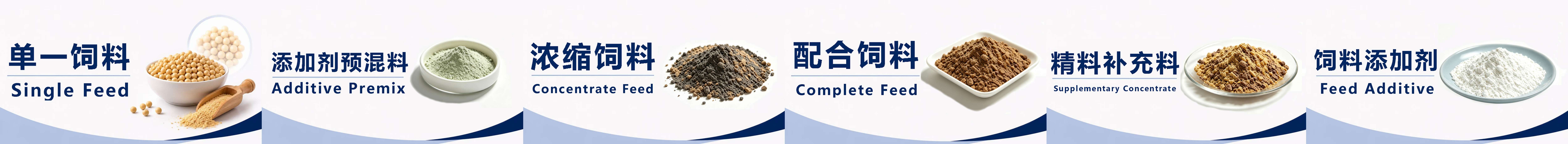 微信图片_20260701171418_741_16.jpg
