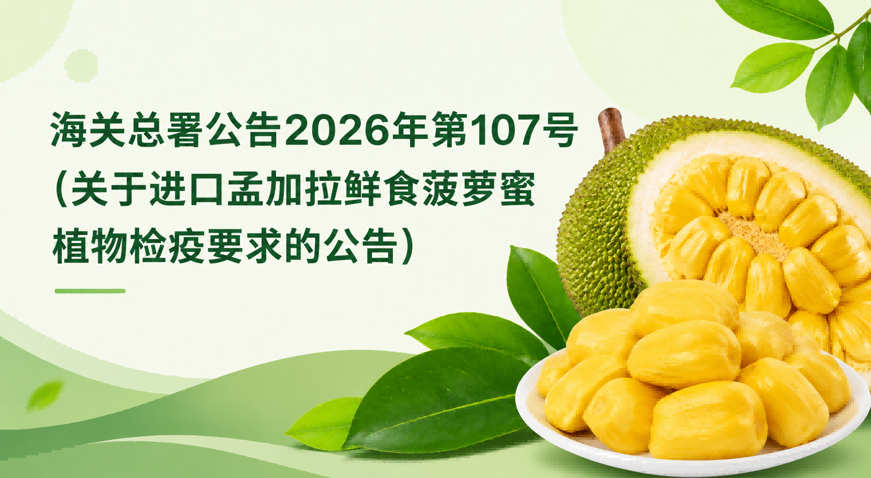 海关总署公告2026年第107号（关于进口孟加拉鲜食菠萝蜜植物检疫要求的公告）