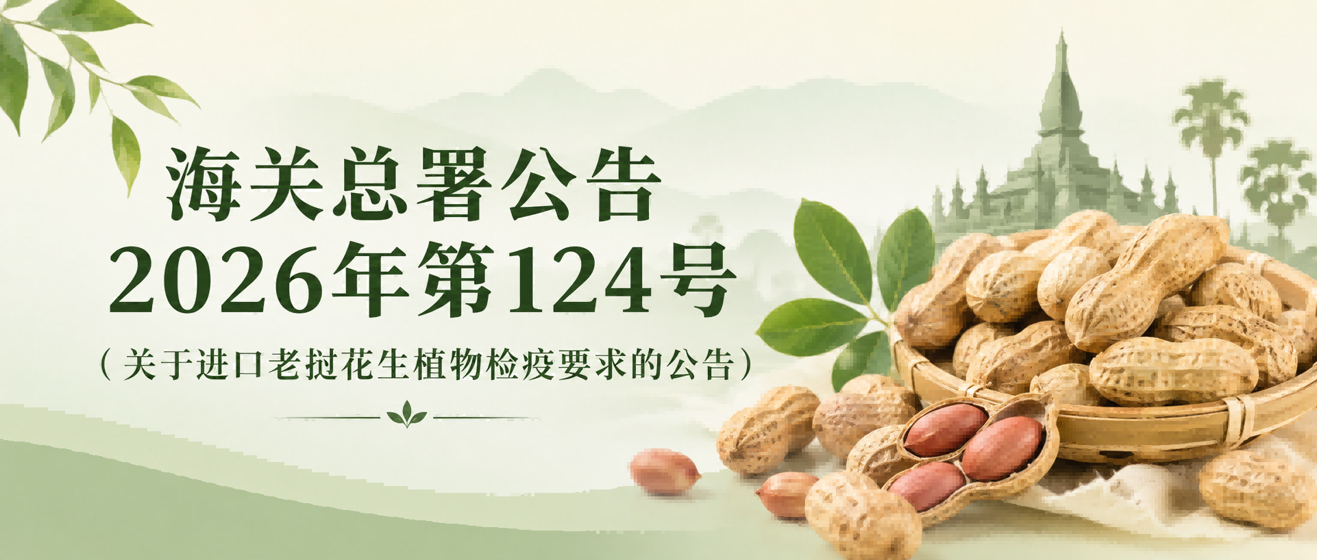 海关总署公告2026年第124号（关于进口老挝花生植物检疫要求的公告）